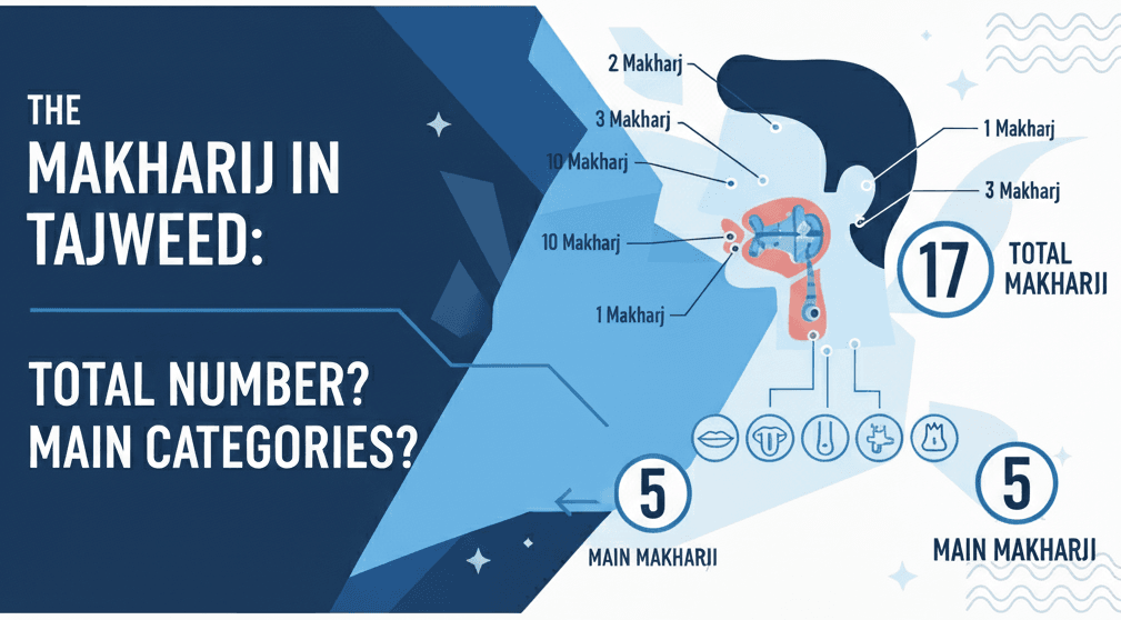 How Many Makharij Are There in Tajweed How Many Are the Main Makharij